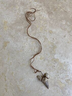 “Shark tooth” necklace from Maui- L